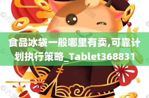 食品冰袋一般哪里有卖,可靠计划执行策略_Tablet368831