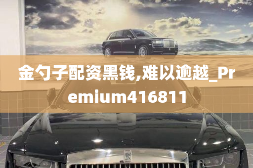 金勺子配资黑钱,难以逾越_Premium416811