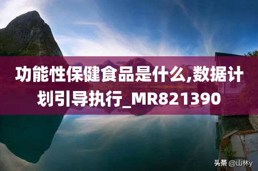 功能性保健食品是什么,数据计划引导执行_MR821390