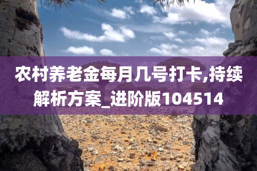 农村养老金每月几号打卡,持续解析方案_进阶版104514