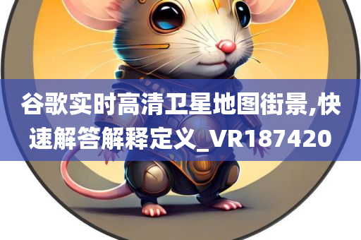 谷歌实时高清卫星地图街景,快速解答解释定义_VR187420