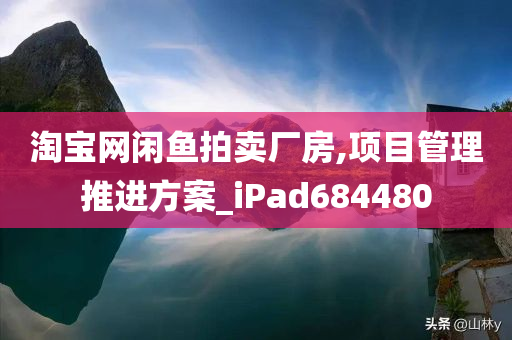 淘宝网闲鱼拍卖厂房,项目管理推进方案_iPad684480