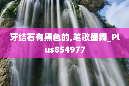 牙结石有黑色的,笔歌墨舞_Plus854977