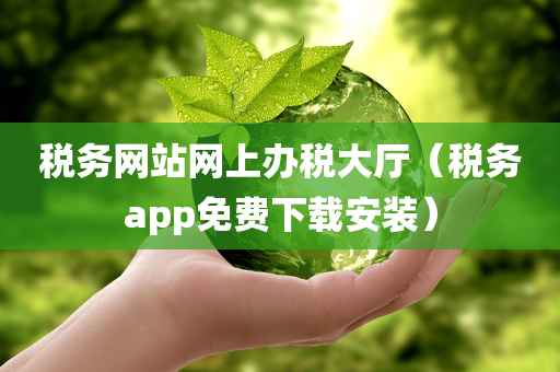 税务网站网上办税大厅（税务app免费下载安装）