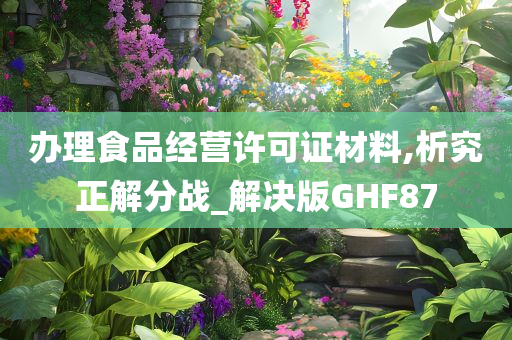 办理食品经营许可证材料,析究正解分战_解决版GHF87