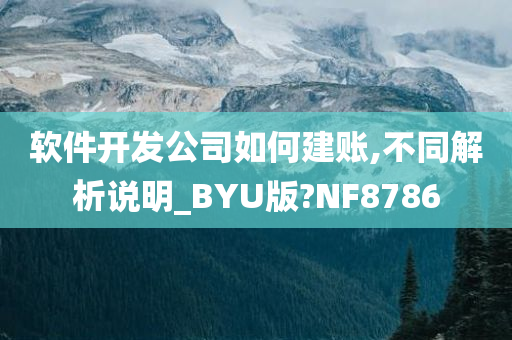 软件开发公司如何建账,不同解析说明_BYU版?NF8786