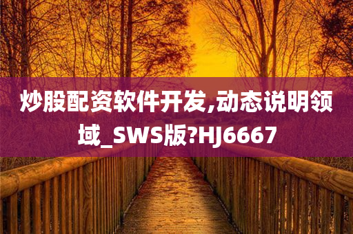 炒股配资软件开发,动态说明领域_SWS版?HJ6667