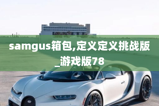 samgus箱包,定义定义挑战版_游戏版78