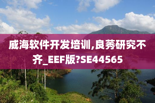 威海软件开发培训,良莠研究不齐_EEF版?SE44565