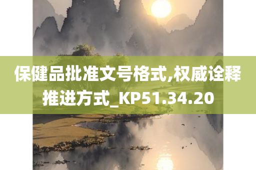 保健品批准文号格式,权威诠释推进方式_KP51.34.20