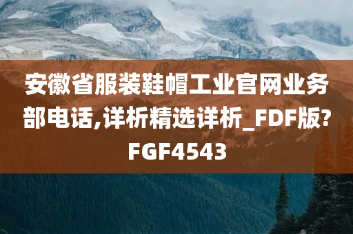 安徽省服装鞋帽工业官网业务部电话,详析精选详析_FDF版?FGF4543