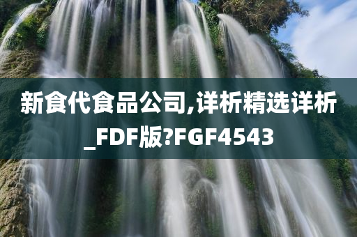 新食代食品公司,详析精选详析_FDF版?FGF4543