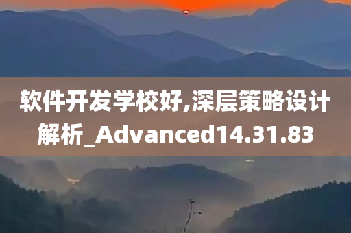 软件开发学校好,深层策略设计解析_Advanced14.31.83