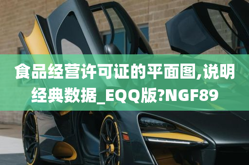 食品经营许可证的平面图,说明经典数据_EQQ版?NGF89