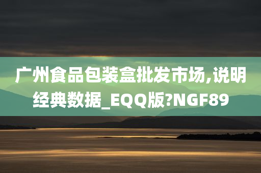 广州食品包装盒批发市场,说明经典数据_EQQ版?NGF89