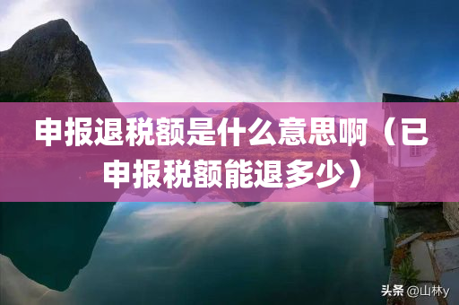 申报退税额是什么意思啊（已申报税额能退多少）