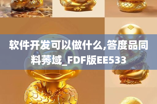 软件开发可以做什么,答度品同料莠域_FDF版EE533