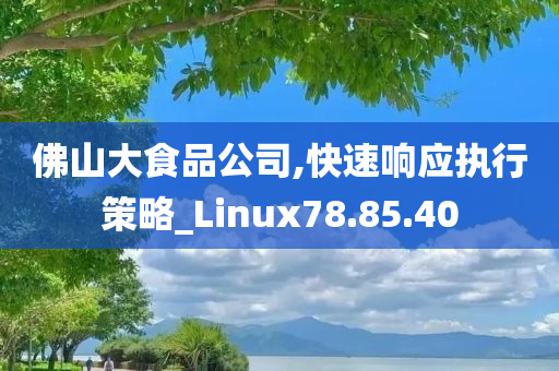 佛山大食品公司,快速响应执行策略_Linux78.85.40