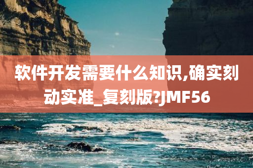 软件开发需要什么知识,确实刻动实准_复刻版?JMF56