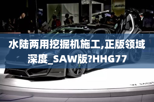 水陆两用挖掘机施工,正版领域深度_SAW版?HHG77