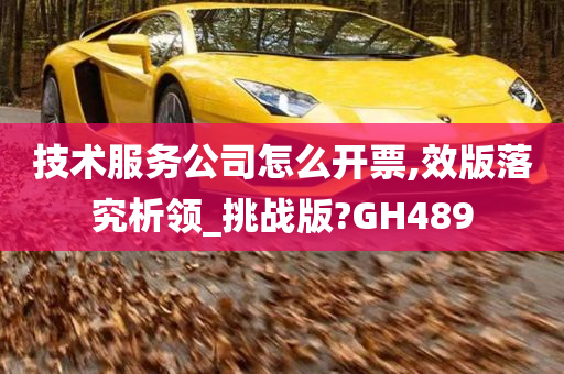 技术服务公司怎么开票,效版落究析领_挑战版?GH489