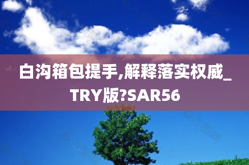 白沟箱包提手,解释落实权威_TRY版?SAR56