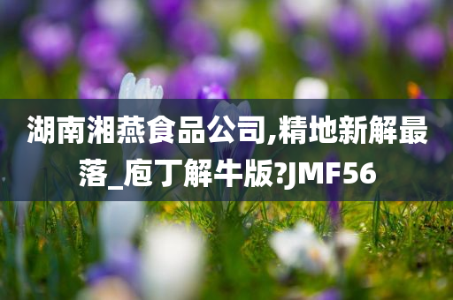 湖南湘燕食品公司,精地新解最落_庖丁解牛版?JMF56