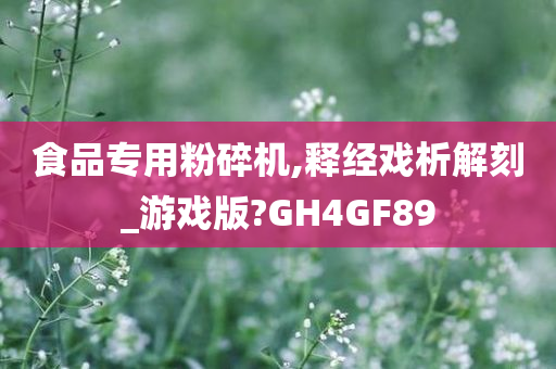 食品专用粉碎机,释经戏析解刻_游戏版?GH4GF89