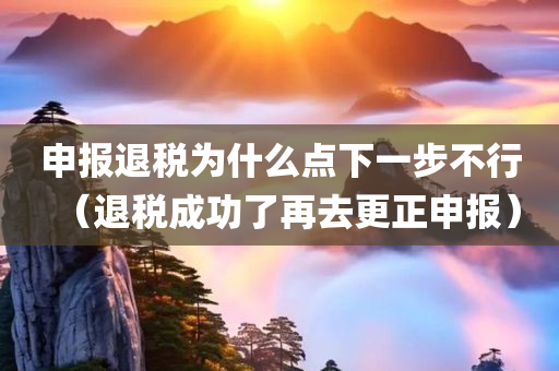 申报退税为什么点下一步不行（退税成功了再去更正申报）