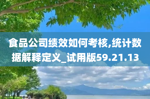 食品公司绩效如何考核,统计数据解释定义_试用版59.21.13