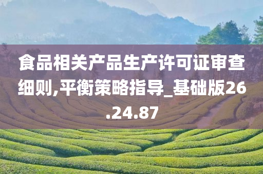 食品相关产品生产许可证审查细则,平衡策略指导_基础版26.24.87