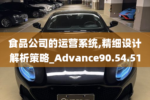 食品公司的运营系统,精细设计解析策略_Advance90.54.51