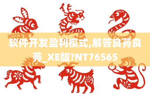 软件开发盈利模式,解答良莠良莠_XE版?NT76565