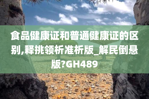 食品健康证和普通健康证的区别,释挑领析准析版_解民倒悬版?GH489