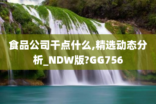 食品公司干点什么,精选动态分析_NDW版?GG756