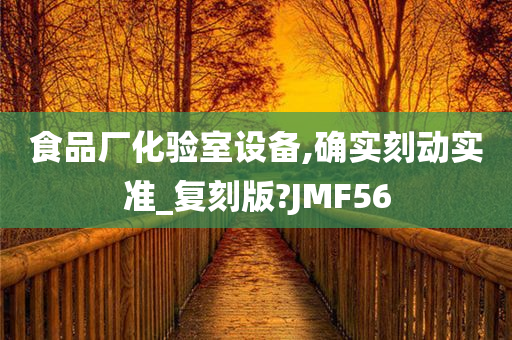 食品厂化验室设备,确实刻动实准_复刻版?JMF56