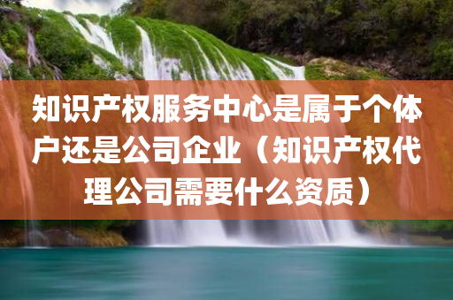 知识产权服务中心是属于个体户还是公司企业（知识产权代理公司需要什么资质）