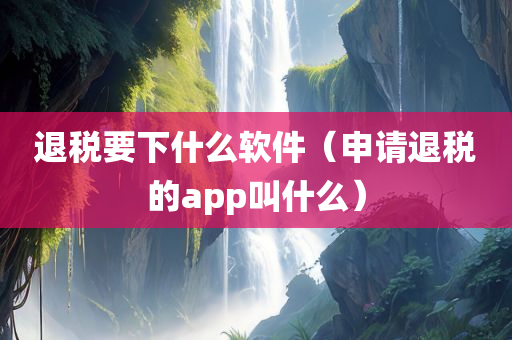 退税要下什么软件（申请退税的app叫什么）