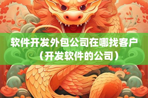 软件开发外包公司在哪找客户（开发软件的公司）