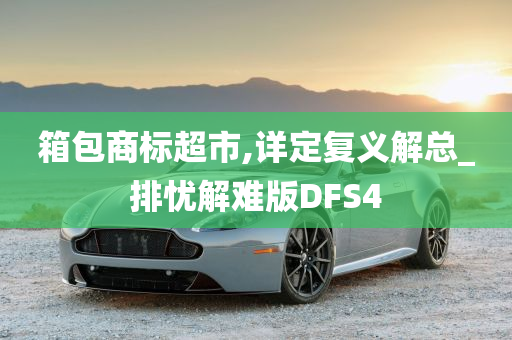 箱包商标超市,详定复义解总_排忧解难版DFS4