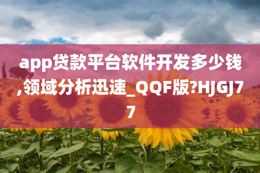 app贷款平台软件开发多少钱,领域分析迅速_QQF版?HJGJ77