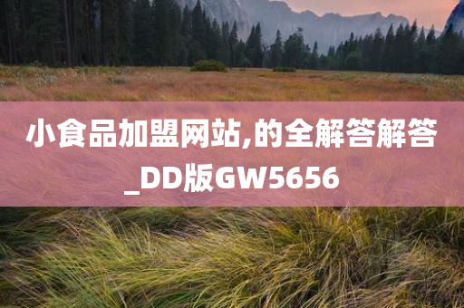 小食品加盟网站,的全解答解答_DD版GW5656