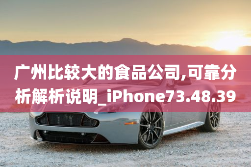 广州比较大的食品公司,可靠分析解析说明_iPhone73.48.39