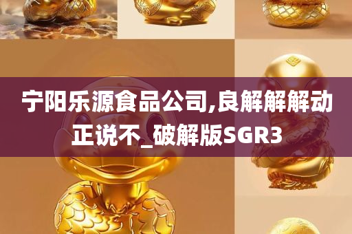 宁阳乐源食品公司,良解解解动正说不_破解版SGR3