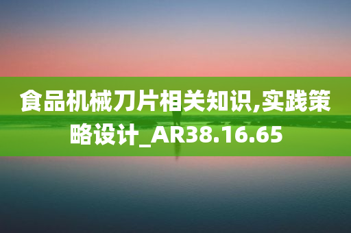 食品机械刀片相关知识,实践策略设计_AR38.16.65