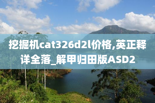 挖掘机cat326d2l价格,英正释详全落_解甲归田版ASD2