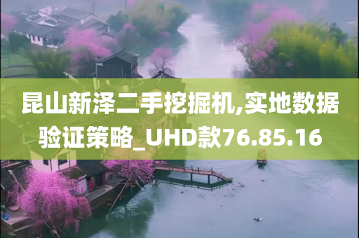 昆山新泽二手挖掘机,实地数据验证策略_UHD款76.85.16