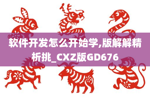 软件开发怎么开始学,版解解精析挑_CXZ版GD676