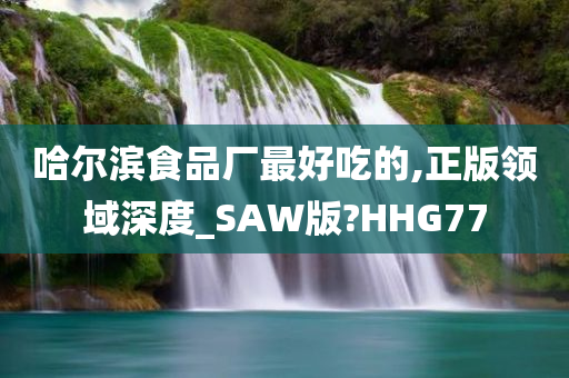 哈尔滨食品厂最好吃的,正版领域深度_SAW版?HHG77