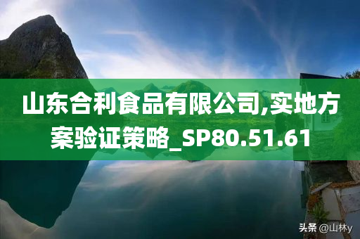 山东合利食品有限公司,实地方案验证策略_SP80.51.61